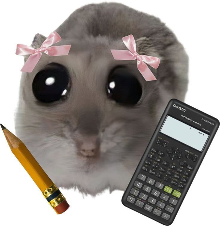 Sebo X7 Extra and the John Lewis X7 Excel Plus Compared